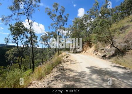 Blick auf einen schmalen Feldweg bergauf durch Davies Creek National Park in der Nähe von Mareeba, Far North Queensland, FNQ, QLD, Australien Stockfoto