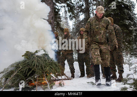 Us Air Force Staff Sgt. David Chorpenning, lehrt US-Marines aus marinen Light Attack Helicopter Squadron (HMLA) 269 und Marine Wing Support Squadron (MWSS) 274 wie ein Signal Brand während überleben Steuerhinterziehung Widerstand und Flucht (SERE) Training in der Nähe von Mountain Home Air Force Base, Idaho, 15. März 2018 zu starten. HMLA-269 und MWSS-274 durchgeführt das Training Fähigkeiten die Staffeln' bei kaltem Wetter Umgebungen zu verbessern. Chorpenning ist ein SERE Fachmann mit der 366 Fighter Wing. (U.S. Marine Corps Stockfoto