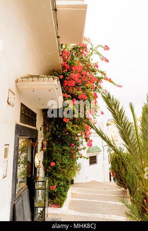 Architektur von Tanger, eine große Stadt im Norden von Marokko. Es ist die Hauptstadt der Tanger-Tetouan-Al Hoceima Region und der Tangier-Assilah prefec Stockfoto