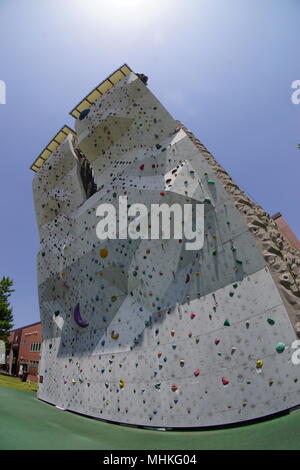 Tokio, Japan. 29 Apr, 2018. Allgemeine Ansicht, Geschwindigkeit Sterne 2018 Speed Climbing Cup bei MORI PARK Outdoor Dorf in Tokio, Japan, 29. April 2018. Credit: Hitoshi Mochizuki/LBA/Alamy leben Nachrichten Stockfoto