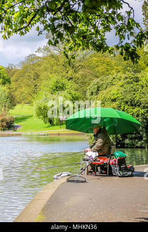 Northampton, Großbritannien. 2. Mai 2018. UK Wetter: nach Tagen der Regen diese Angler in Abington Park, Northampton, keine Zeit haben, ihre Bekämpfung, die Fische im See. Angeln ist eine der am häufigsten unterstützten Aktivitäten in Großbritannien verschwendet Stockfoto