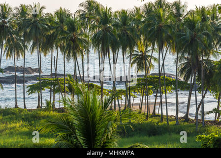 Playa Hermosa de Costa Rica - Pazifikküste Stockfoto