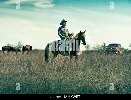 Dude Ranch in der Nähe von Huston Texas USA Stockfoto