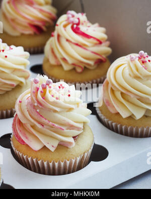 Zarte Vanille Cupcakes mit Sahne in der Box auf weißem Hintergrund Stockfoto