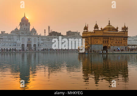 Goldener Tempel, Amritsar, Punjab, Indien Stockfoto