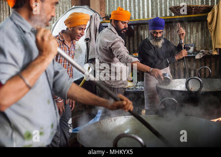 Freiwillige kochen für die Pilger, die den goldenen Tempel besuchen, dienen sie jeden Tag kostenlose Nahrungsmittel für 60.000-80.000 Pilger, Goldener Tempel, Amritsar, Stockfoto