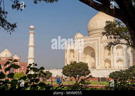 Taj Mahal, UNESCO-Weltkulturerbe, Agra, Uttar Pradesh, Indien Stockfoto