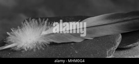 Frühlingszeit Stockfoto