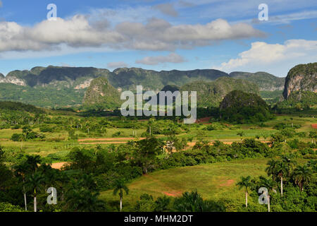 Blick über die Landschaft mit mogotes im Tal von Vinales, Kuba, Provinz Pinar del Rio Stockfoto