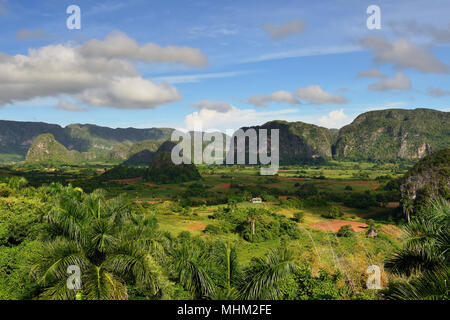 Blick über die Landschaft mit mogotes im Tal von Vinales, Kuba, Provinz Pinar del Rio Stockfoto