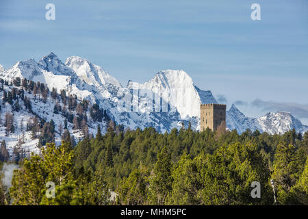 Der Belvedere-Turm rahmt die schneebedeckten Gipfel und Höhepunkt Badile an einem Frühlingstag Maloja Pass Kanton Graubünden Schweiz Europa Stockfoto