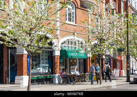 Straße im Frühjahr, Eccleston Road, Belgravia, Westminster, London, England, Vereinigtes Königreich Stockfoto