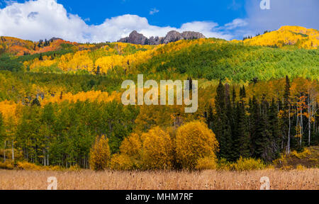 Herbst Farbe mit Espen drehen - auf Kebler Pass Road (offiziell genannten GCR 12 oder Gunnison County Road 12) westlich von Crested Butte, Colorado. Stockfoto