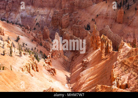 Hoodoos und bunte Klippen am Cedar Breaks National Monument in Utah. Die Indianer, Cedar genannt, brechen den 'Kreis der gemalten Klippen'. Stockfoto