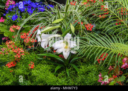 Garten-Szene in den Butchart Gardens in Victoria, British Columbia, Kanada. Stockfoto