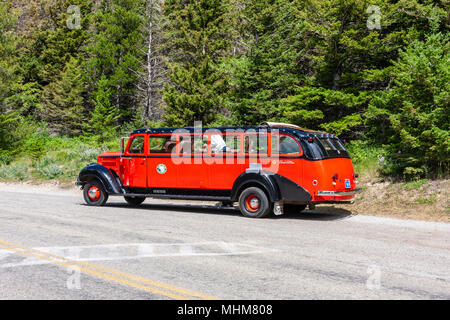 Die Busse der "Red Jammer" bieten Touristen eine Möglichkeit, die Wunder der Sun Road im Glacier National Park (in Montana) zu erleben. Stockfoto