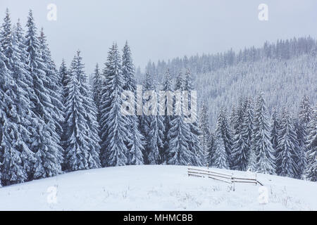 Der Winter in den Bergen. Dramatische Szene. Karpaten Ukraine Europa Stockfoto