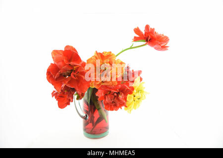 Stillleben mit Pfingstrose Tulip Blumen Stockfoto