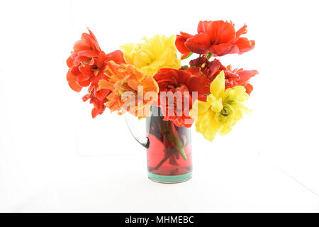 Stillleben mit Pfingstrose Tulip Blumen Stockfoto