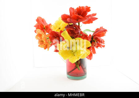 Stillleben mit Pfingstrose Tulip Blumen Stockfoto