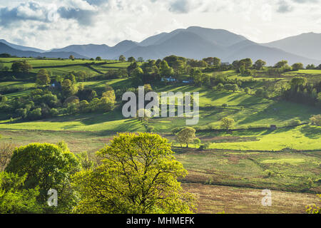 Blick in Richtung Keswick und Braithwaite aus niedrigen Rigg in der Nähe von Threkeld, Lake District National Park, England Stockfoto