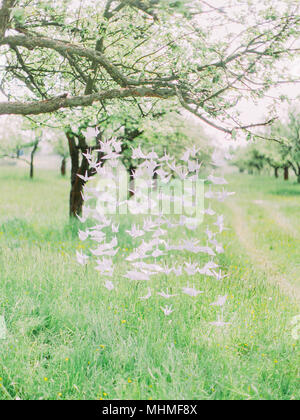 Das Papier Schwäne sind hängt am Baum in den grünen Bereich. Stockfoto