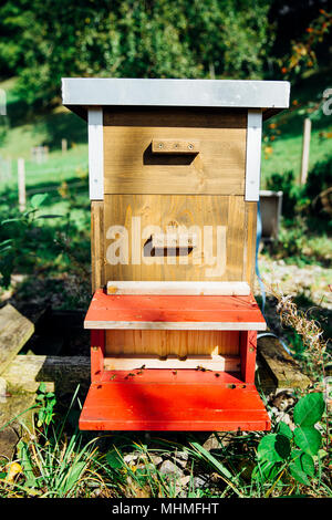 Holzrahmen Bienenstock in der Organischen Garten an einem sonnigen Tag
