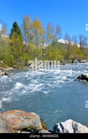 Alpine Stream entlang Bäume mit Felsen im Frühjahr und unter blauem Himmel Stockfoto