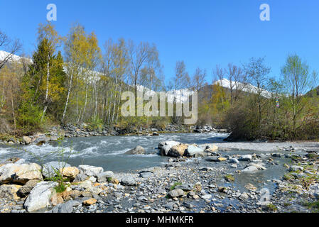 Alpine Stream entlang Bäume mit Felsen im Frühjahr und unter blauem Himmel Stockfoto