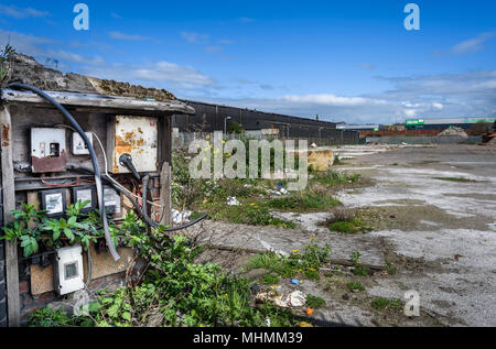 Alte elektrische Schalter und Sicherungen auf einem verlassenen Industriegelände. Stockfoto