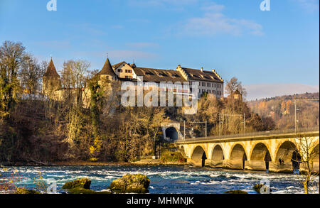 Schloss Laufen und dem viaduc am Rheinfall - Schweiz Stockfoto