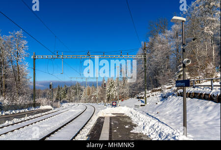 Zürich S-Bahn auf dem Uetliberg Berg - Schweiz Stockfoto