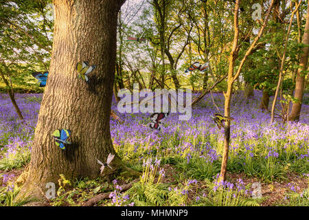 Schmetterlinge in einem Waldgebiet mit Glockenblumen Szene im Frühling. Lila Blumen und bunten Insekten in einem Wald mit Bäumen Stockfoto