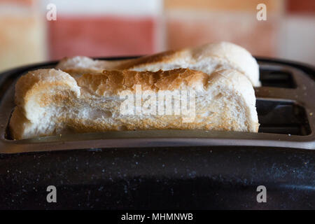 Zwei Scheiben Toast im toaster Stockfoto