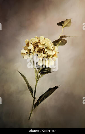 Digitale Malerei eines schönen Hortensie Blume. Stockfoto