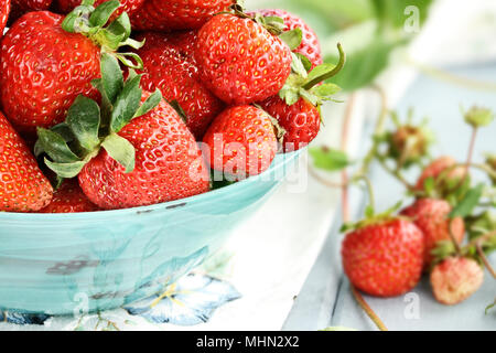 Frische reife Erdbeeren in eine schöne blaue Schale mit selektiven Fokus und extrem geringe Tiefenschärfe. Stockfoto