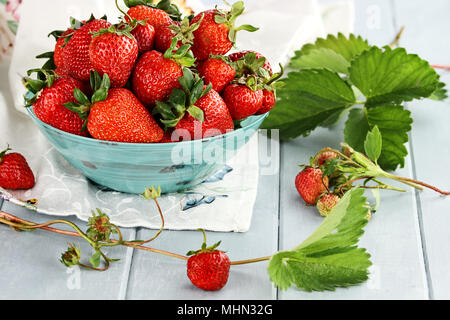 Frische reife Erdbeeren in eine schöne blaue Schale mit selektiven Fokus und extrem geringe Tiefenschärfe. Stockfoto