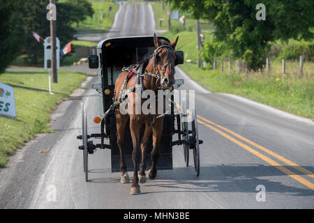 Pferdewagen buggy in Lancaster pennsylvania Amish Country Stockfoto