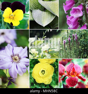 Schöne Vielfalt von bunten Blumen und Pflanzen Collage. Stockfoto