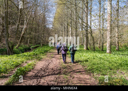 Eine Wandergruppe, Schottland Stockfoto