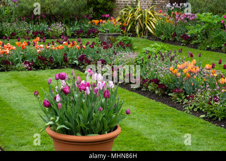 Chenies Manor, Rickmansworth, Buckinghamshire, UK, April Stockfoto