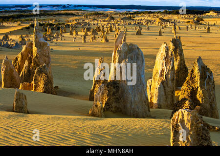 Western Australia; die Pinnacles, Nambung National Park Stockfoto
