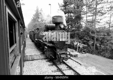 Mokra Gora, Serbien, 17. Juli 2017: Warten auf die dampflok Gegenstück des so genannten "argan Acht "Schmalspurige Museumsbahn. Stockfoto