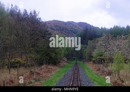 Anschluss durch den Lake District in engen guage Ravenglass and Eskdale Erbe Steam Railway Stockfoto