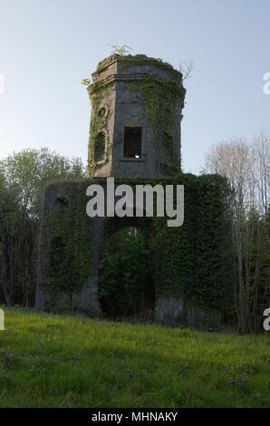 Geheimnisvolle Torheit in der Nähe Emo Court Stockfoto