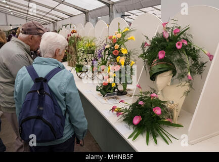 Besucher Exponate in der Blumenkunst zeigt in Harrogate Flower Show, North Yorkshire, England, Großbritannien Stockfoto