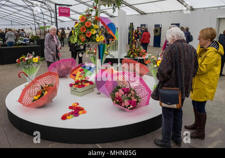 Besucher Exponate in der Blumenkunst zeigt in Harrogate Flower Show, North Yorkshire, England, Großbritannien Stockfoto