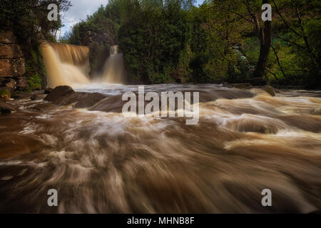 Penllergare Tal Wald Wasserfall Stockfoto