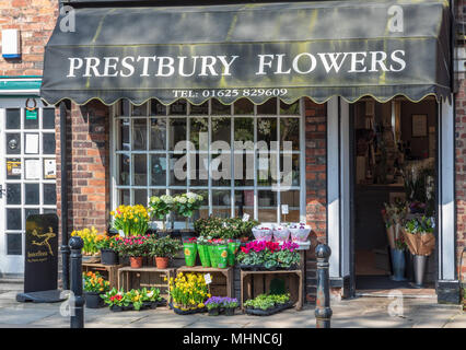 Flower Shop in den ländlichen und historischen Dorf Prestbury in Cheshire Stockfoto