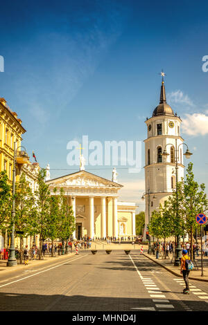 Blick auf die Straße - Stadt Vilnius Gedimino Avenue, die Kathedrale und der Glockenturm mit Menschen Wandern und Reiten Fahrrad in sonniger Tag. Stockfoto